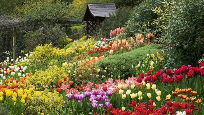 Angleški vrt sveže krasen Tulipani Različne barve