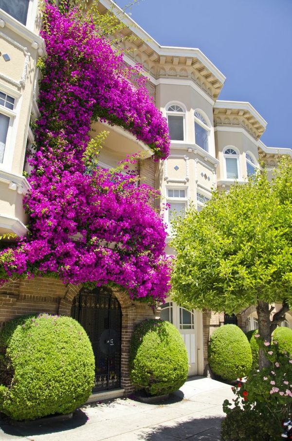 neverjetno cvetlična korita-za-the-balkona