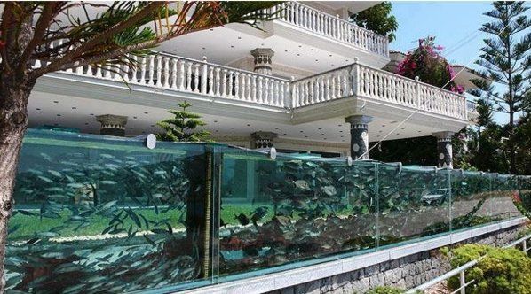 utrolig Aquarium Fence