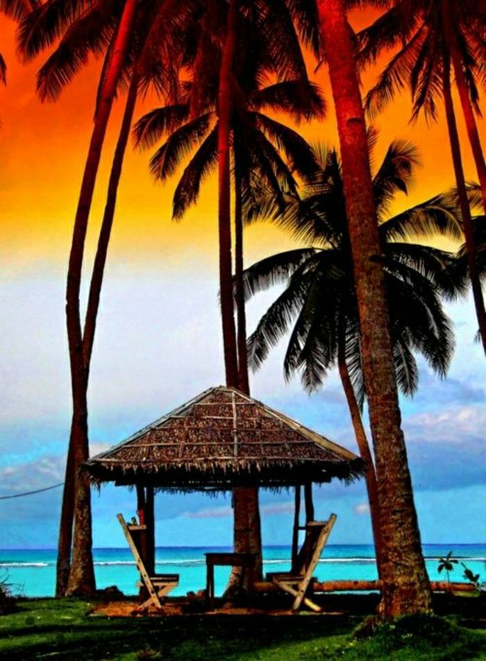 exoticky pláž Maui Island Hawaii palm altánok rekreačných