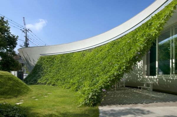 exterior-design-unic-arhitectura-formă-și funcția de perete cu iarbă-