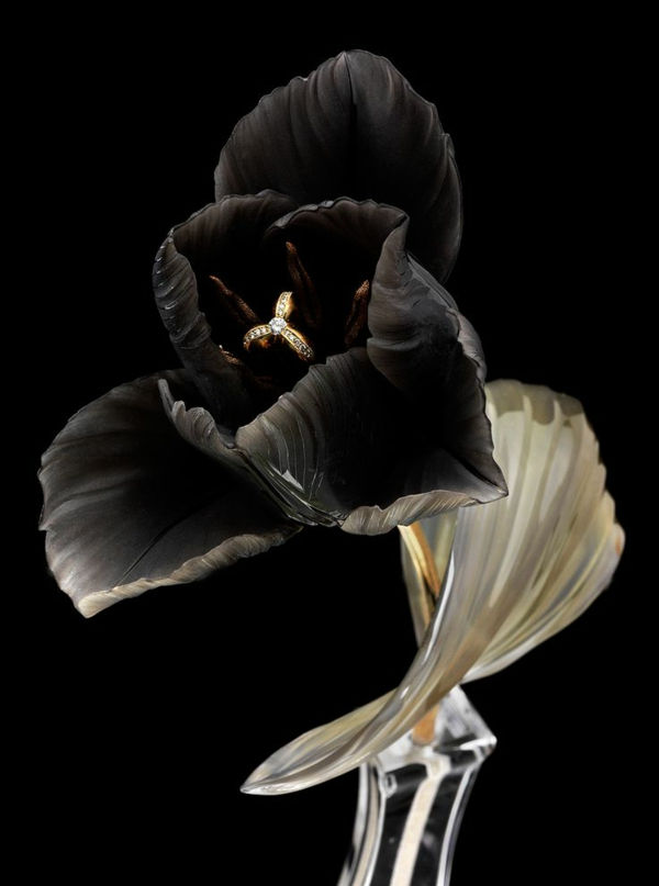 extravagantný photo-of-a-black-tulipán