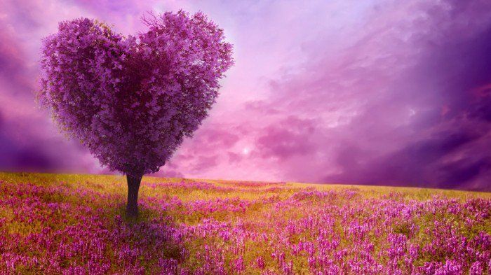 Foto fabuloasa-the-naturale-vopsit-in-violet