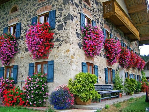 fantastično - cvetlična korita-za-the-balkon-Fensterdeko