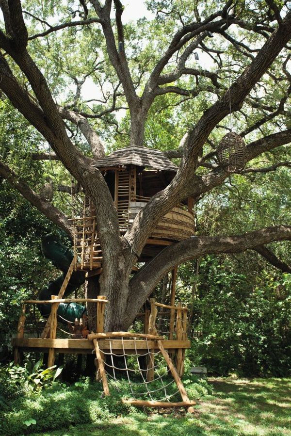 fantastiška idėja medis-namas
