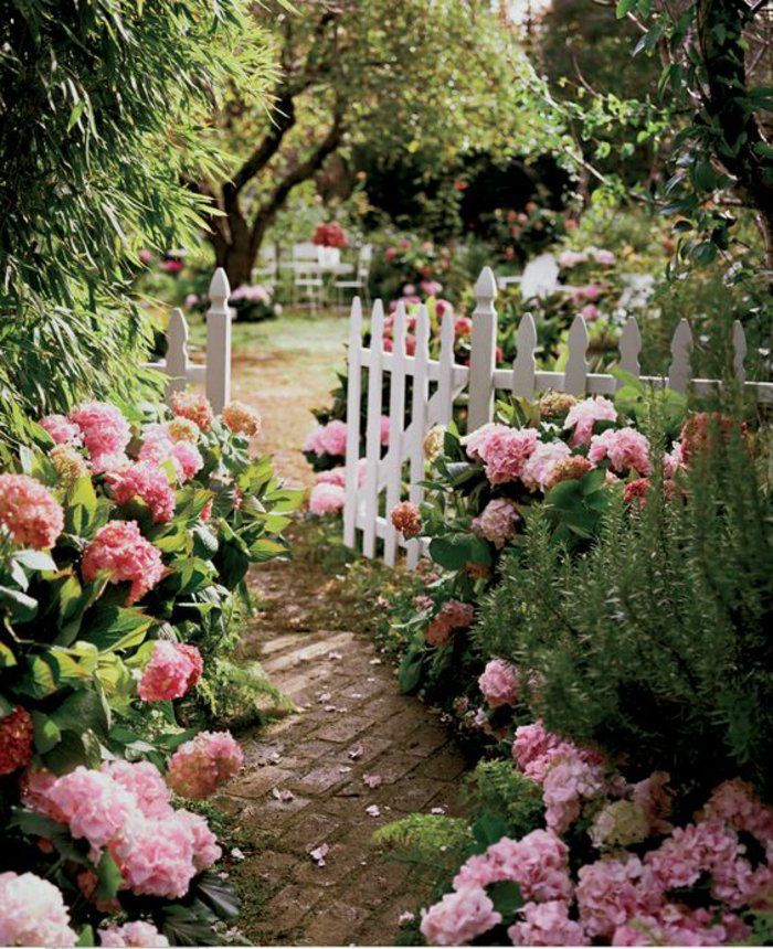 fantastisk hage full med hortensia