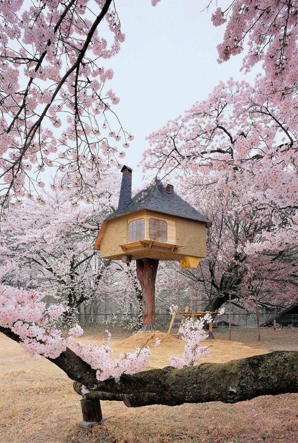 fantastické house-on-strom