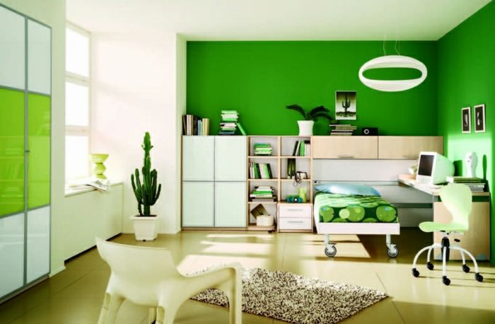 renk iç tasarım-yeşil-duvar-daha-aksanıyla