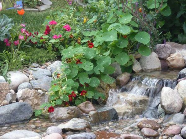 feng shui vrt-zeleno-listi-kamni-in-voda