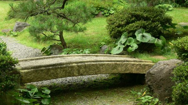 feng shui vrt zanimiv most-in-zeleno-rastlin