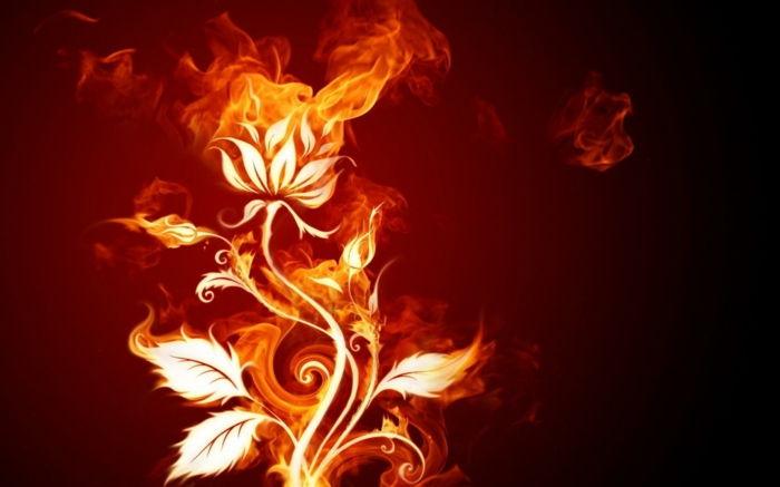 foc-tapet-un-frumos-floare