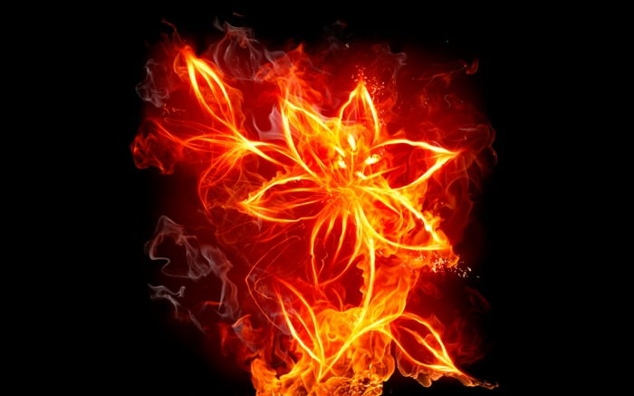 foc-tapet-interesant-floare