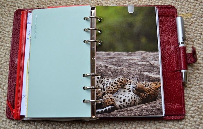 un tigru care iese dintr-un calendar vechi tăiat în idei roșii de filofax pentru notebook-uri