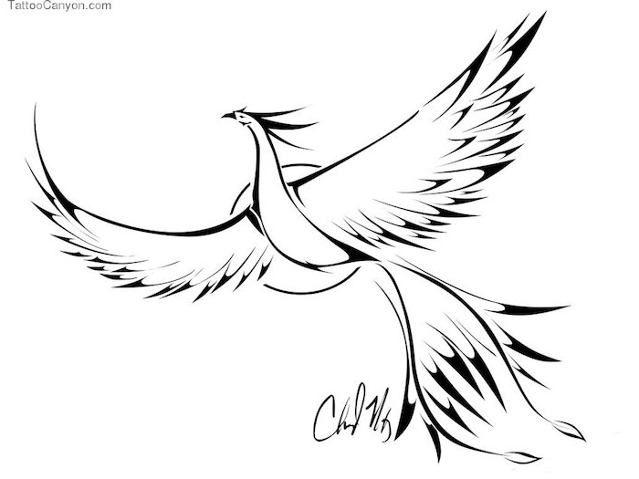 phoenix foto's tatoeage - een vliegende witte feniks met zwarte vleugels met zwarte en witte veren
