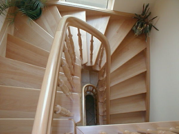 foto-of-the-top-obrnjene stopnice-rastline kot dekoracijo