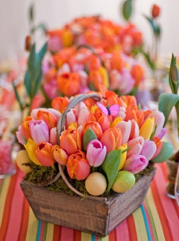 Francuski-tulipany-in-piękny kolorze kolorze