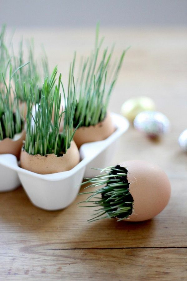 laimingas-Easter-Easter-Tinker-Tinker-Velykų žolės-in-kiaušinių lukštus