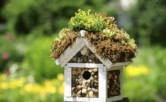 grande casa de passarinho feita de madeira, decorar as paredes com pequenas pedras, vegetação no telhado