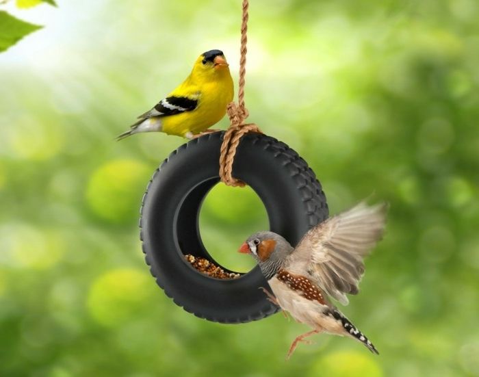 Paukščių maitintuvai, pagaminti iš mini žetonų, du spalvingi paukščiai, puiki DIY idėja jūsų sodui