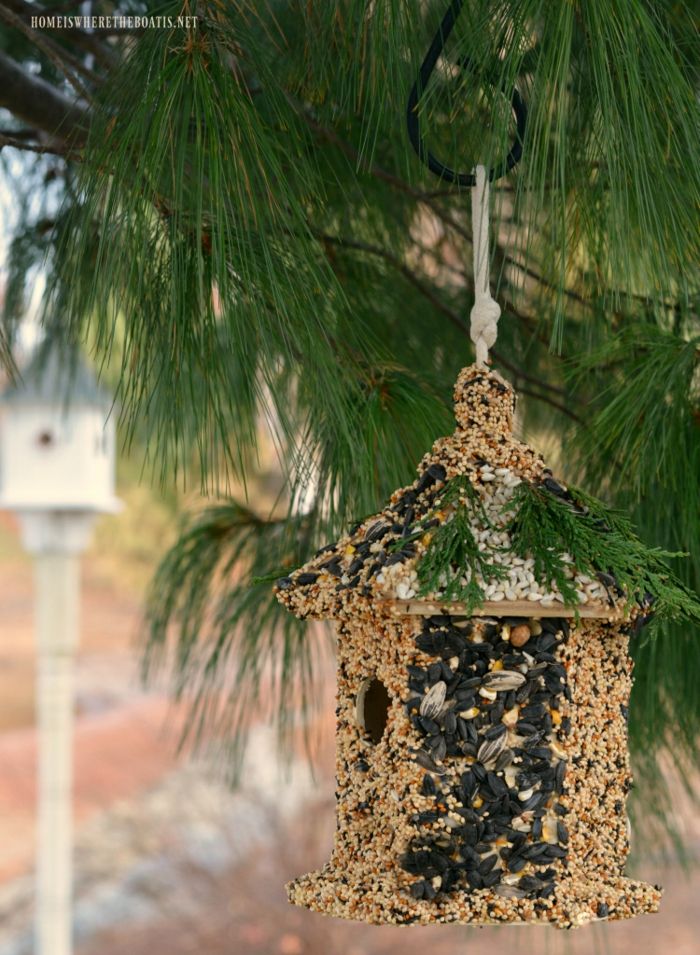 Cola caixa de ninho de madeira com sementes, sementes de girassol e passas, decorar com ramos de pinheiro