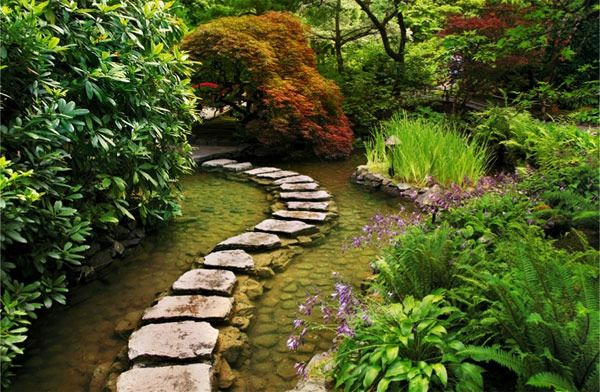 Ścieżka w ogrodzie z egzotycznymi roślinami