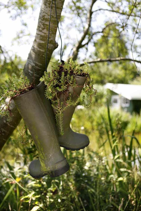 Trädgårdsdekoration av hängande stigmas med växter - hängande från trädet
