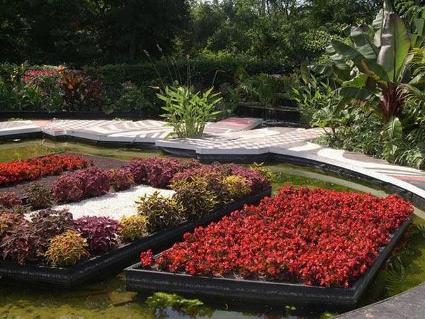 Kleurrijke bloemen en groene planten in de exotische tuin