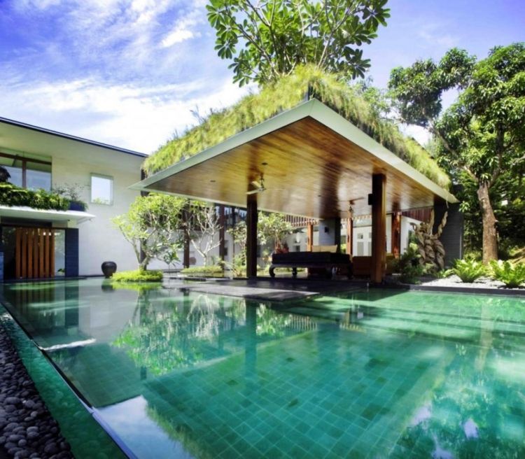 Pergola-acoperiș-ecologizare-chic-nobil-plante-modern-elegant-piscină-soare-vară
