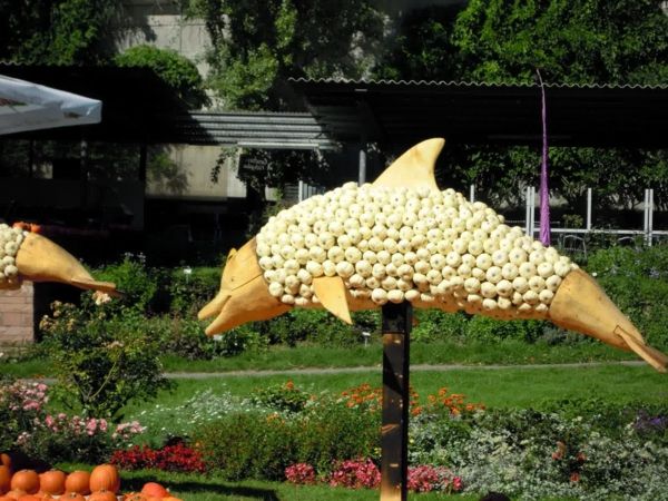 tuin-decoratie- ontwerp dolfijn
