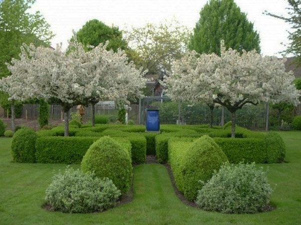 Podwórko z drzewami z białymi kwiatami