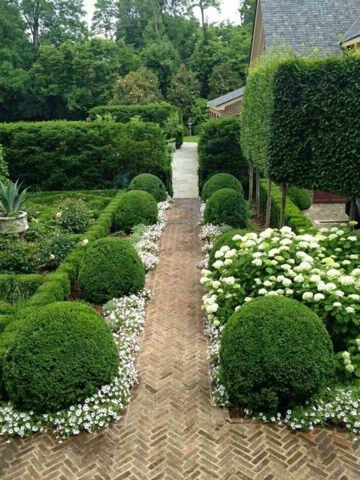 vrt-design-pot v obliki rastline