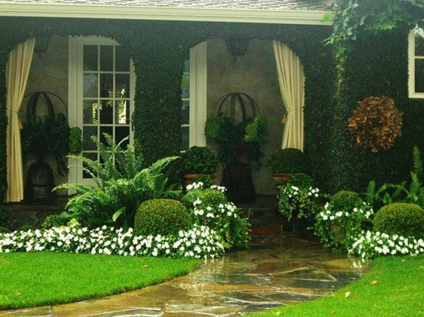 zielone rośliny z białymi kwiatami - przekształcić ogród