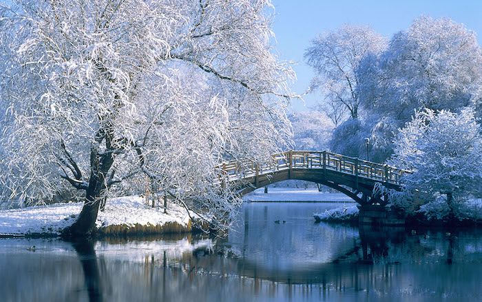 zimná záhrada s bielymi stromami so snehom, riekou a mostom - romantické zimné fotografie