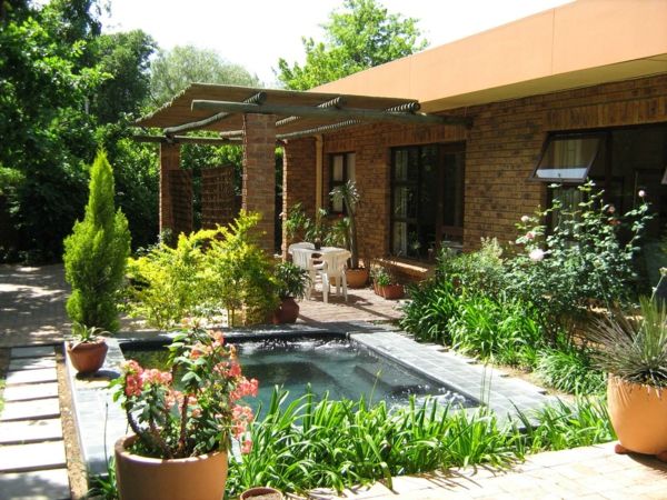 vrtni bazen-eksotični pogled na hišo - z zelenimi rastlinami