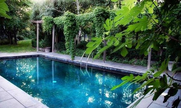 trädgård-pool-omgiven-gröna växter - se exotiska