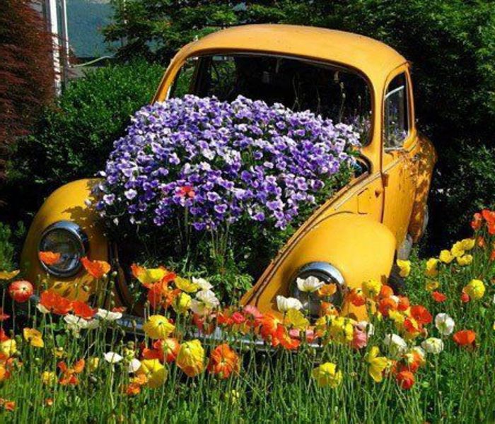 Záhradka skrášliť-fialové kvety-in-a-žltá-car