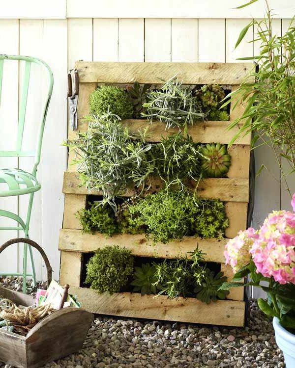 pomysł na dekoracje ogrodowe - zielone rośliny w pudełku z palety