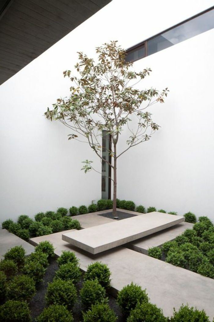 ett ensamt träd planterat i en minimalistisk trädgård omgiven av många gröna buskar