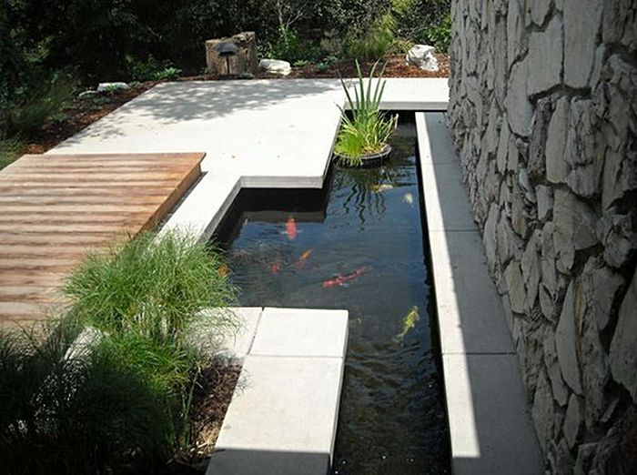 altın balık dolu bir havuz saksı yelken - modern bahçe tasarımı
