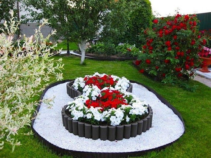 Gartengestaltung-przykłady-biało-żwirowa-biało-czerwonych kwiatów, kwiat róży krzak