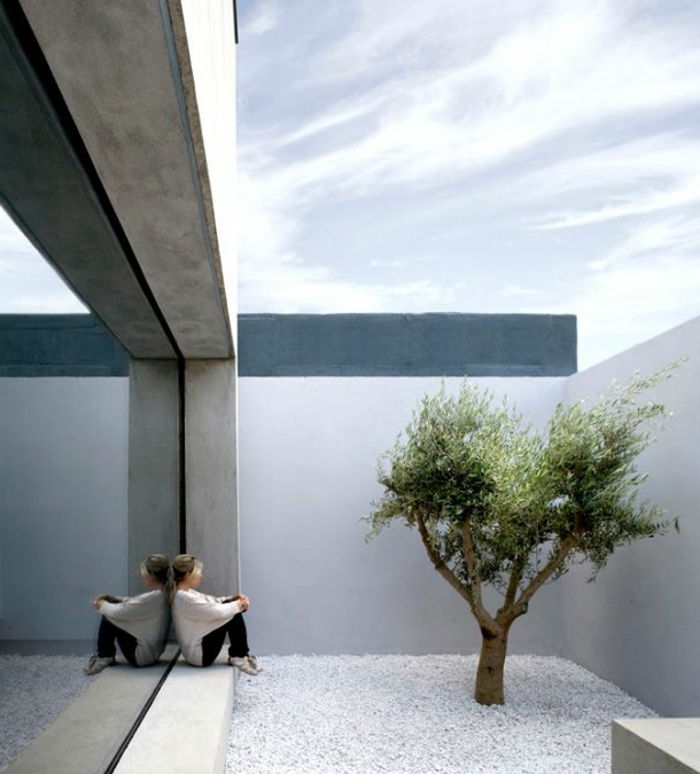 minimalizm ve varoluşçu yalnızlık fikirlerine sahip bir bahçe