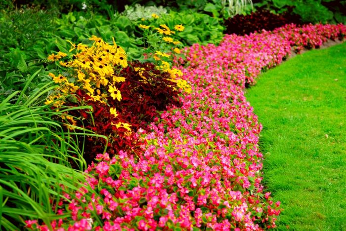 prachtige kleurrijke bloemen - tuinontwerp