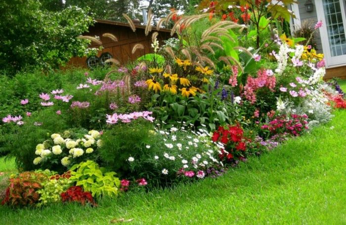 enostavno nego vrt - enostavno oskrbo rastlin različnih cvetov