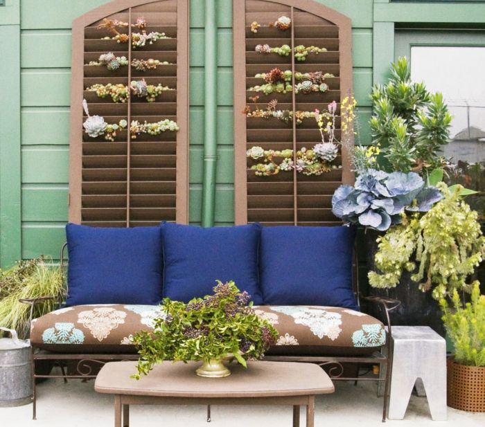 Enostaven vrt za nego - kavč v modri barvi, vertikalni vrt Hauswurzen