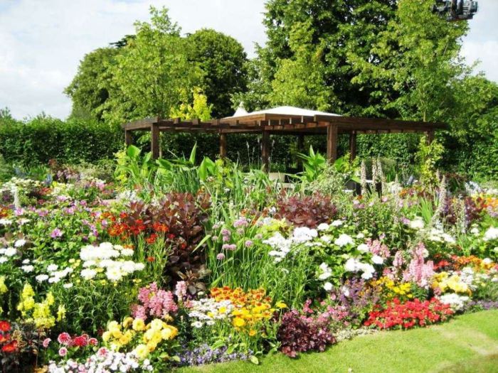 vrt z lahkim oskrbo z veliko različnih cvetov in leseno pergolo