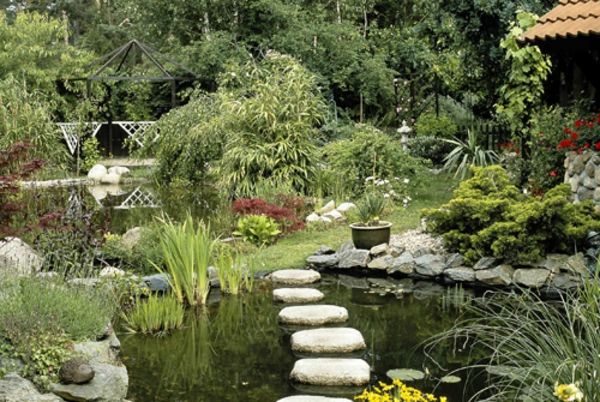 egzotiškas sodas dizaino idėjos svajonė-sodo baseinas