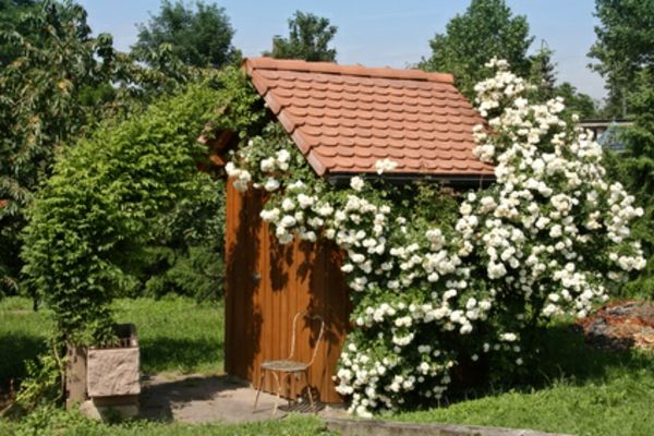 drevený dom v záhrade - veľa bielych kvetov