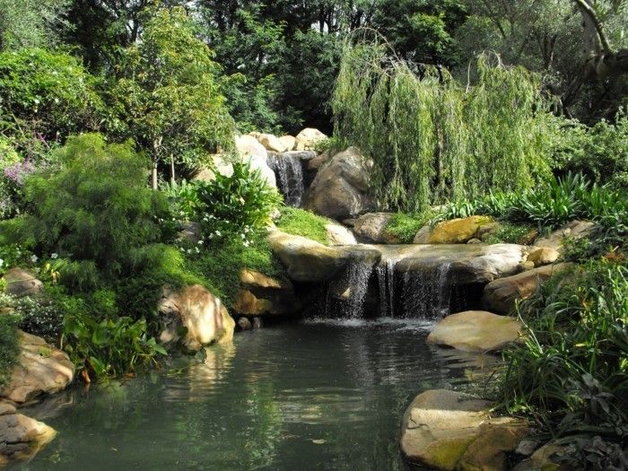 Opprette en hage dam-er-her-noe-invest-to-themed mini-hage Pond-