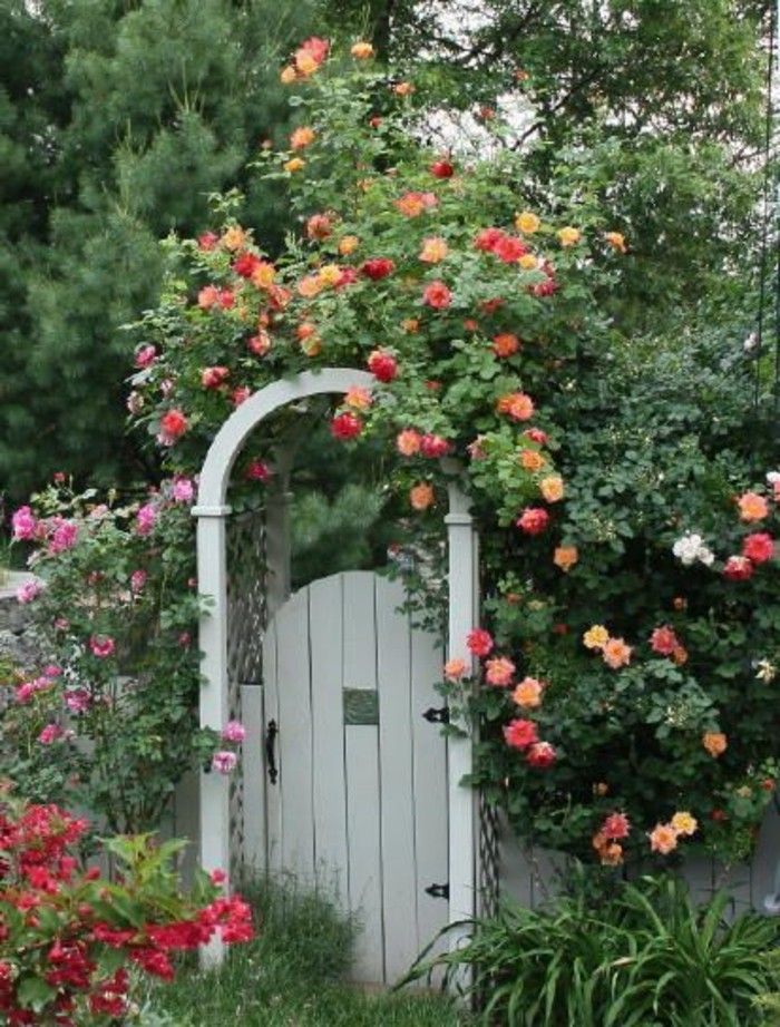 -Gartentor circular arc-protecție față-trandafiri