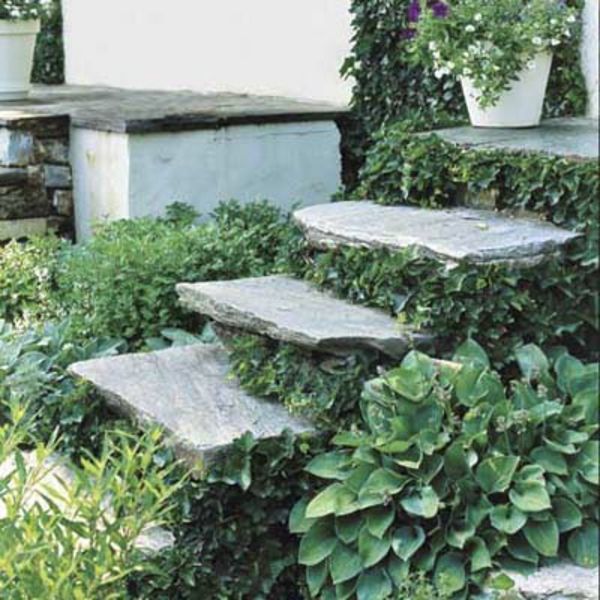 trädgård-trappor-självbyggande-grön-miljö-vackert foto